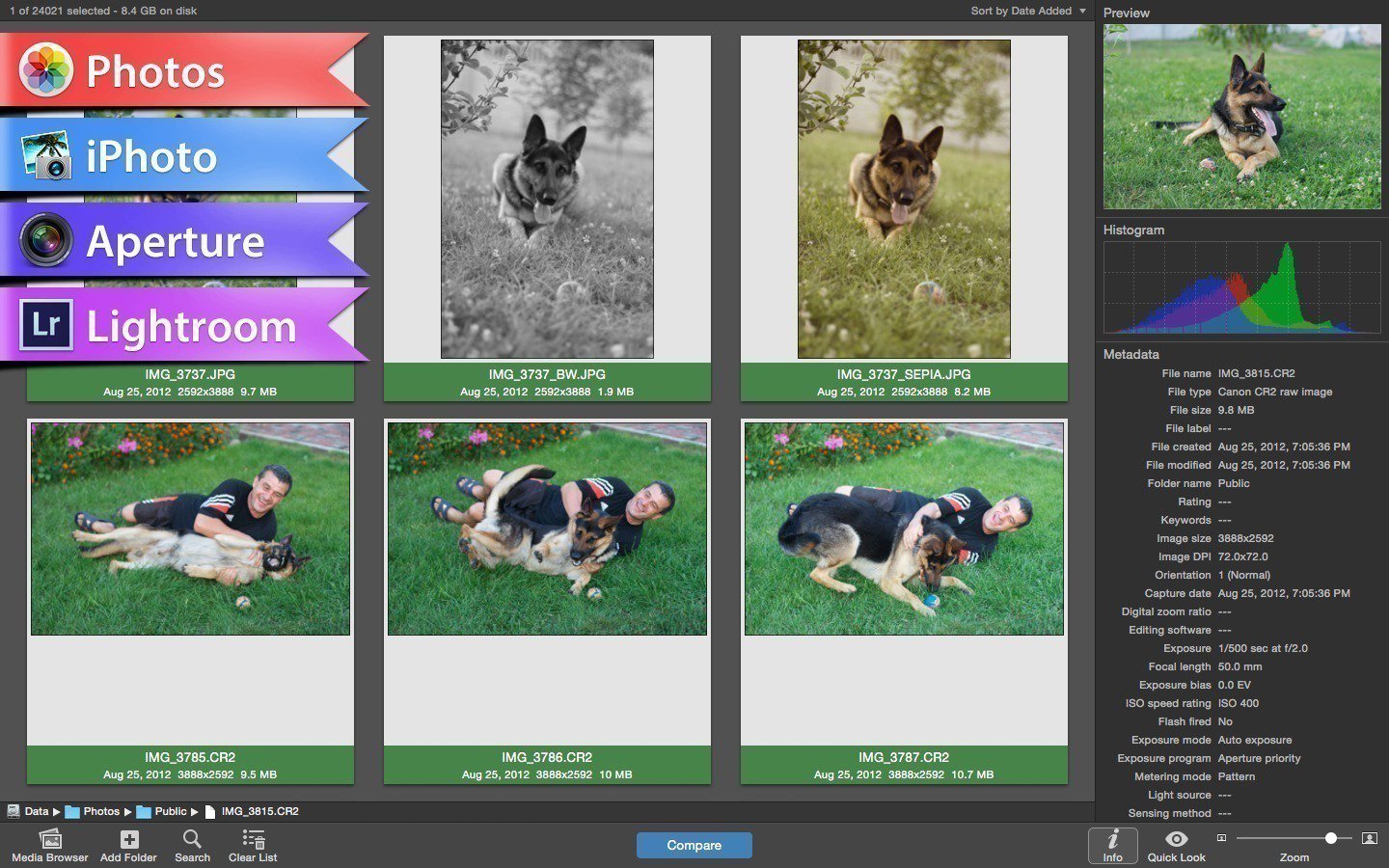 Приложение для поиска по фото. Программа для поиска камер. Програма которая ищет фото по тегам. Программа которая выдаёт животных. Поиск одинаковых фотографий на андроид.