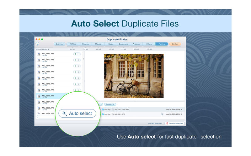 Duplicate File Finder Professional 2023.16 for ipod instal